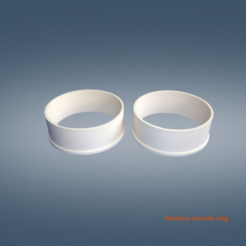 Alumina Ceramic ring